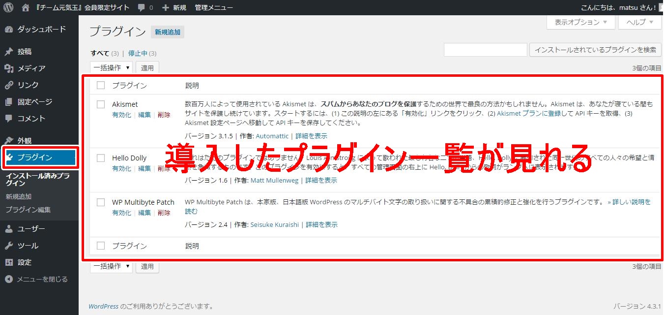 プラグイン