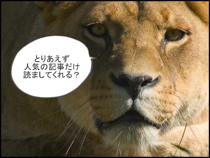 人気記事ランキング
