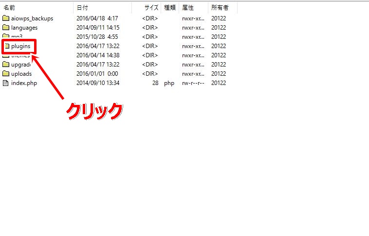 ffftp13
