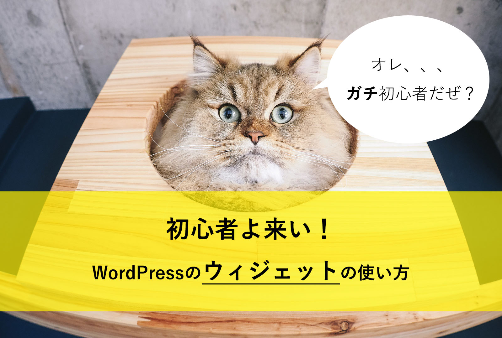 初心者よ来い Wordpress ワードプレス のウィジェットの使い方まとめ ブログ集客実践の書