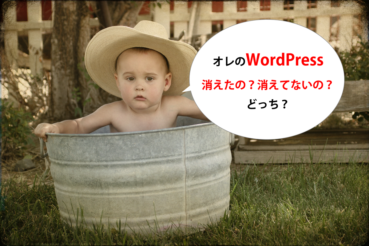 大事なデータを死守!WordPressのバックアップ手順まとめ(Xサーバー編)!