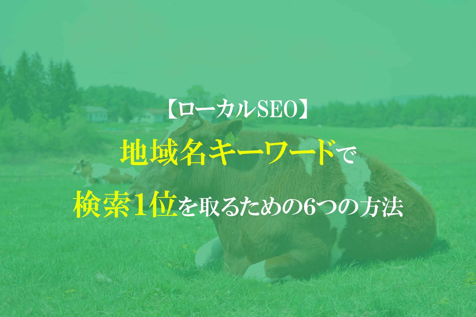 ローカルseo 地域名キーワードで検索１位を取るための６つの方法 ブログ集客実践の書 株式会社snac